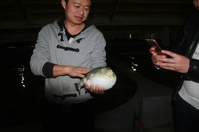 大連啟航“海魚陸?zhàn)B”保險，海水養(yǎng)殖技術(shù)研發(fā)迎來新機(jī)遇