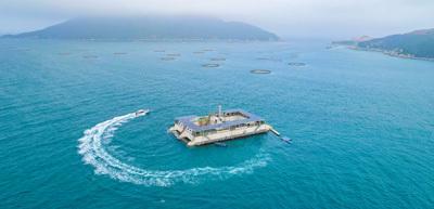 海洋牧場 以綠色養(yǎng)殖與技術(shù)研發(fā)驅(qū)動海水養(yǎng)殖的未來