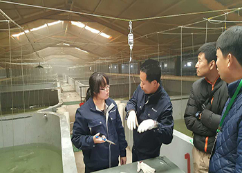 我國海水養(yǎng)殖技術(shù)新突破 告別'嗑藥'魚，首個(gè)海水魚活疫苗投產(chǎn)應(yīng)用